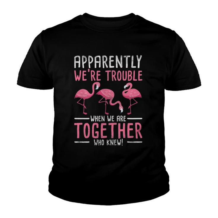 Apparently We Are Trouble Flamingo Youth T-shirt