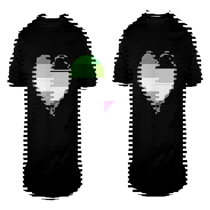 Asexual Aromantic Pride Flag Heart Nonsexual Equality Month  Youth T-shirt