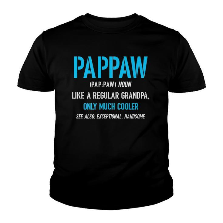 Pappaw Gift Like A Regular Funny Definition Much Cooler Youth T-shirt