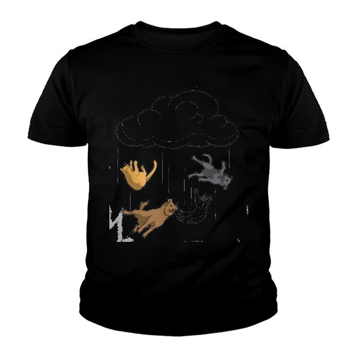 Raining Cats & Dogs Funny Dog Cat Lover Youth T-shirt