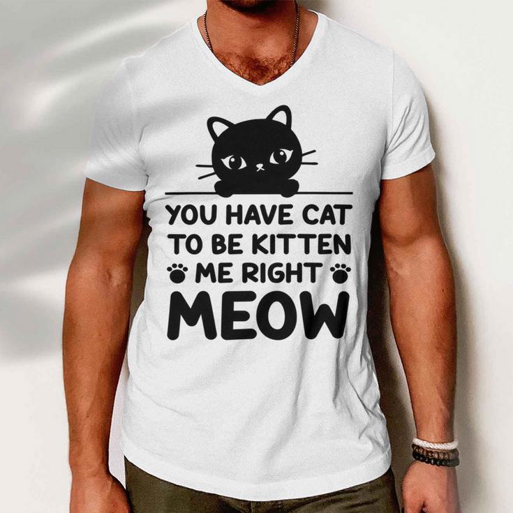 Cute Cat Lover Youve Got To Be Kitten Me Men V-Neck Tshirt