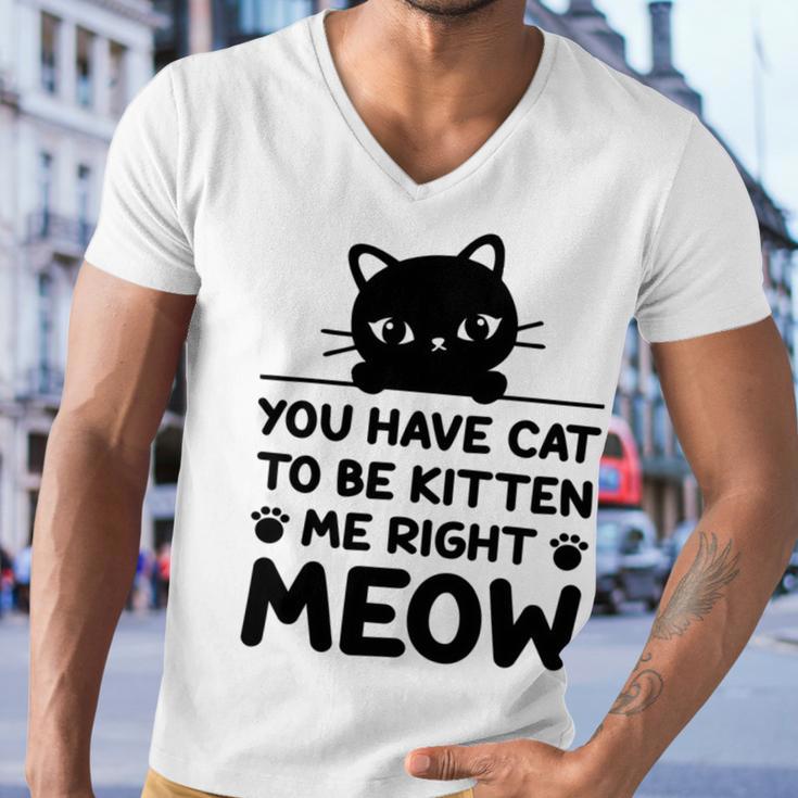 Cute Cat Lover Youve Got To Be Kitten Me Men V-Neck Tshirt