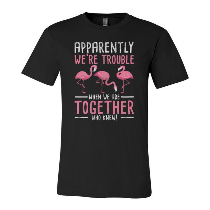 Apparently We Are Trouble Flamingo Jersey T-Shirt
