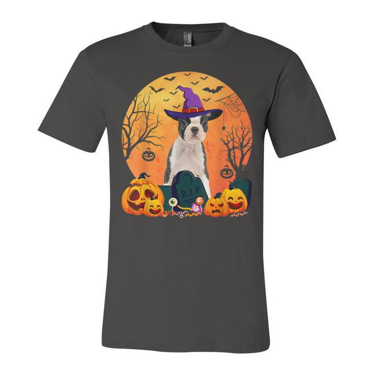 Cute Boston Terrier Halloween Costume Funny Dog Lover  Unisex Jersey Short Sleeve Crewneck Tshirt