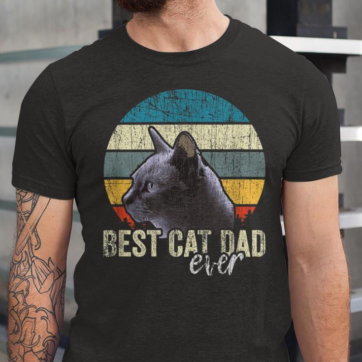 Best Cat Dad Ever Vintage Cat Daddy Father Unisex Jersey Short Sleeve Crewneck Tshirt