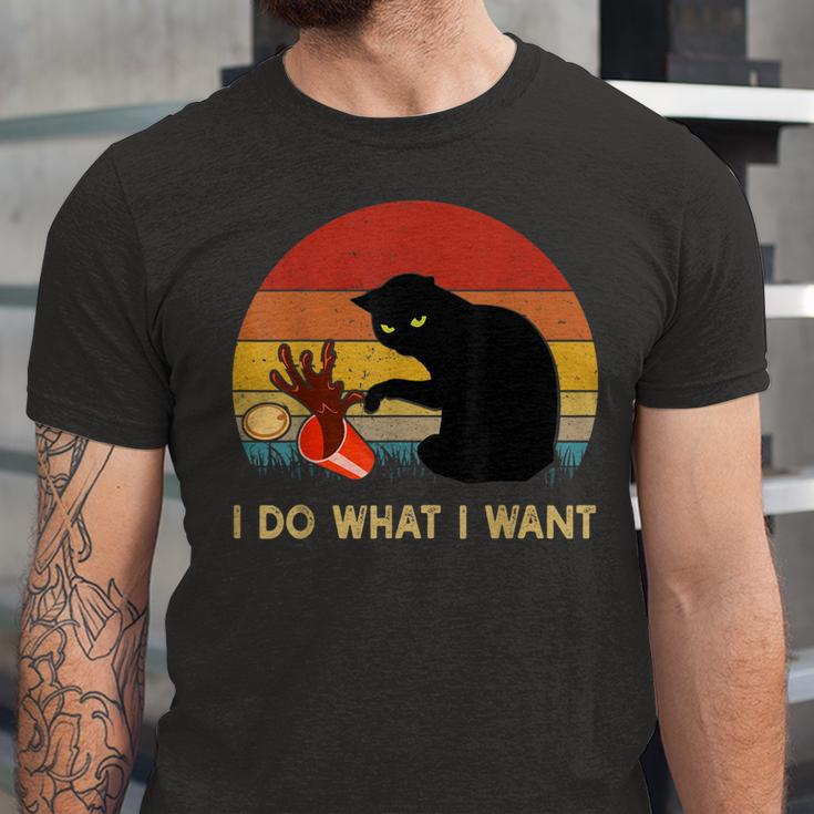 I Do What I Want Black Cat For Vintage Jersey T-Shirt