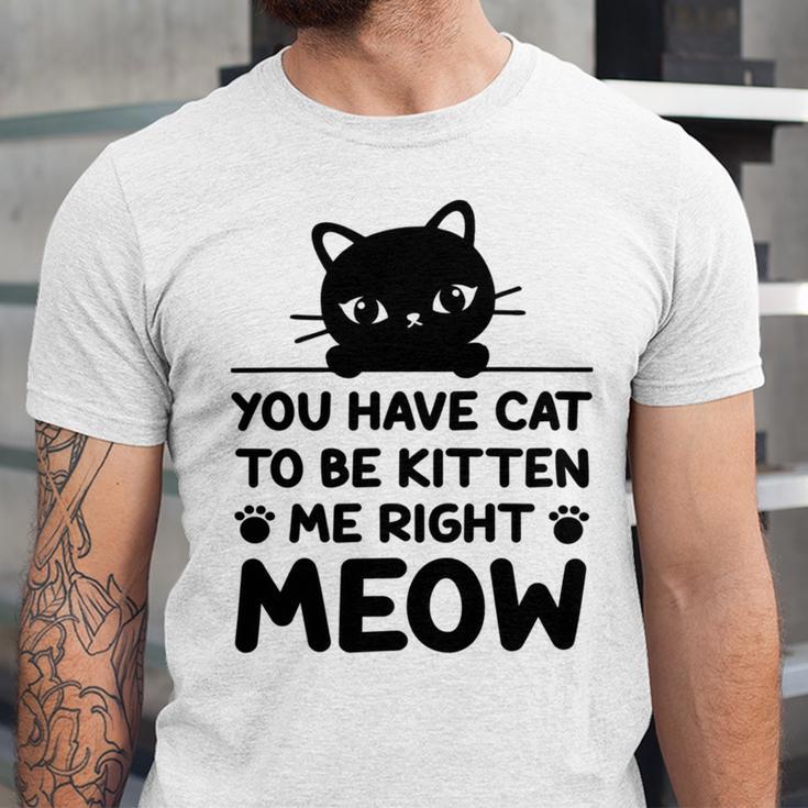 Cute Cat Lover Youve Got To Be Kitten Me Unisex Jersey Short Sleeve Crewneck Tshirt