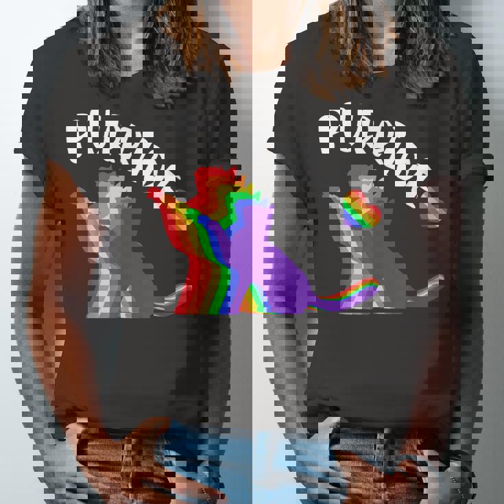 Purride Gay Pride Cat Pride Cat Cat Lgbtq Jersey T-Shirt Purride Gay Pride Cat Pride Cat Cat Lgbtq Jersey T-Shirt