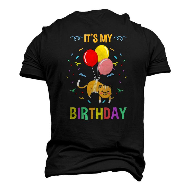 Its My Birthday Cat Pet Lover Men's 3D T-Shirt Back Print