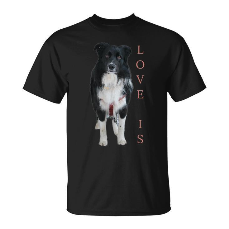 Border Collie  Women Men Kids Love Dog Mom Dad Pet   Unisex T-Shirt