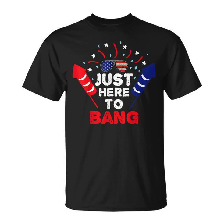 Funny Patriotic Im Just Here To Bang 4Th Of July Fireworks  Unisex T-Shirt