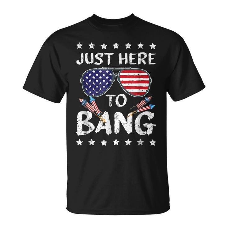 Just Here To Bang 4Th Of July Funny Fireworks Patriotic  V2 Unisex T-Shirt