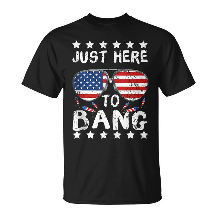Just Here To Bang And Drink Beer Fourth Of July 4Th Of July  Unisex T-Shirt