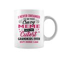 Meme Grandma Gift I Never Dreamed I’D Be This Crazy Meme Coffee Mug