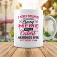 Meme Grandma Gift I Never Dreamed I’D Be This Crazy Meme Coffee Mug Funny Gifts