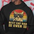Best Cat Dad Ever Bump Fit Fathers Day Gift Daddy For Men Hoodie Unique Gifts