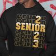 Class Of 2023 Senior 2023 Graduation Or First Day Of School Hoodie Unique Gifts