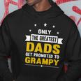 Family 365 The Greatest Dads Get Promoted To Grampy Grandpa Hoodie Unique Gifts