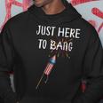 Funny Fourth Of July 4Th Of July Im Just Here To Bang Hoodie Funny Gifts