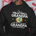 Im A Volleyball Grandpa Like Normal Grandparents Hoodie Unique Gifts