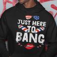 Im Just Here To Bang 4Th Of July Fireworks Fourth Of July Hoodie Funny Gifts