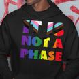 Its Not A Phase Lgbtqia Rainbow Flag Gay Pride Ally Hoodie Unique Gifts