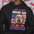 Just A Proud Briard Dad Merica Dog Patriotic 4Th Of July Hoodie Funny Gifts