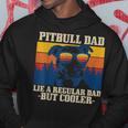 Mens Pitbull Dad Vintage Funny Dog Fathers Day Pitbull Hoodie Personalized Gifts
