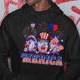 Merica Gnomes Happy 4Th Of July Us Flag Independence Day Hoodie Funny Gifts