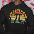 My Password Is The Last 8 Digits Of Pi 93 Trending Shirt Hoodie Funny Gifts