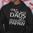 Only The Best Dads Get Promoted To Papaw Gift Hoodie Unique Gifts