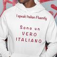 I Speak Italian Fluentlylanguage Italian Hoodie Funny Gifts