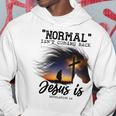 Normal Isnt Coming Back Jesus Is Revelation For Horse Lovers Hoodie Funny Gifts