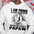 Papaw Grandpa Gift Nothing Beats Being A Papaw Hoodie Funny Gifts