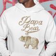 Vintage Papa Bear Dad Fathers Day Father Gift Tee Hoodie Unique Gifts