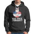 Are You Free Tonight 4Th Of July Independence Day Bald Eagle Hoodie