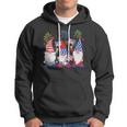 Funny Patriotic Usa American Gnomes 4Th Of July Hoodie