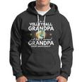 Im A Volleyball Grandpa Like Normal Grandparents Hoodie