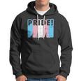 Pride Transgender Funny Lgbt Flag Color Protest Support Gift Hoodie