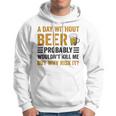 A Day Without Beer Why Risk It Funny Saying Beer Lover Drinker Hoodie