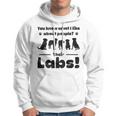 Official Professional Labrador Groomer Hoodie