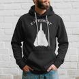 F-14 Tomcat Military Fighter Jet Design On Front And Back Hoodie Gifts for Him