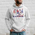 4Th Of July 2022 Patriotic Gnomes Funny American Usa Hoodie Gifts for Him