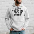 Dont Touch Me Im Not Stable Hoodie Gifts for Him