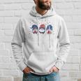 Three Gnomes Celebrating Independence Usa Day 4Th Of July Hoodie Gifts for Him