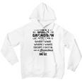 I Am A Spoiled Grandson I Do What I Want When I Want Where I Want Except I Gotta Ask My Grandma One Sec V2 Youth Hoodie