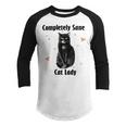 Completely Sane Cat Lady Cat Lover Cute Kitty Youth Raglan Shirt