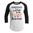 Handpicked Earth Grandma Heaven Youth Raglan Shirt