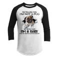 Im Telling You Im Not A Pug My Mom Said Im A Baby Cute Funny Pug Shirts Youth Raglan Shirt