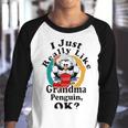 I Really Like Grandma Penguin Ok Youth Raglan Shirt